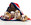Andlare Litter