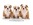 Andlare Shooting Star & Andlare Willy Nilly Puppies